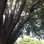 20120926-152211.jpg (하원이랑 스케이트)