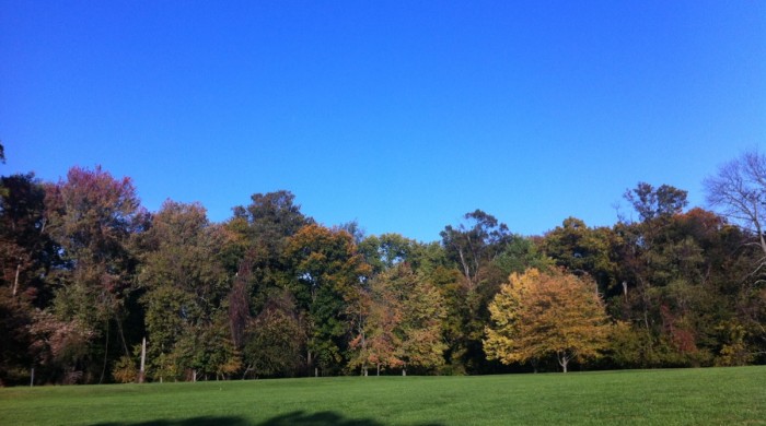 2012-10-16 16.52.07