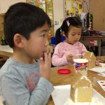 2012-12-20 10.49.02 (Gingerbread House)