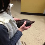 2013-01-12 16.05.02 (Chocolate shop)
