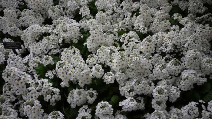 P1050399_resize