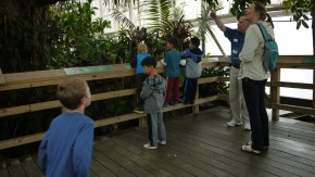 P1070959 (Field trip)