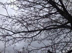 20140221-152343.jpg (두원이 하교길)