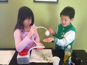 IMG_20140331_165206 (Science project)