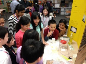 IMG_20140403_195617 (Science Fair)