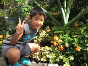 IMG_20140813_112320 (Brookside Garden)