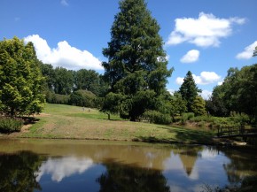 IMG_20140813_115544 (Brookside Garden)