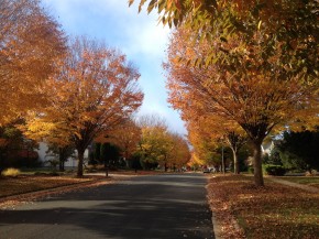 IMG_20141112_084516 (일상)