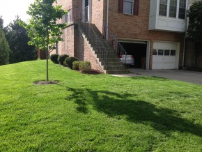 IMG_20150429_170440 (집앞 잔디밭)