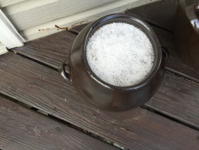 IMG_20150513_095742 (된장담기)