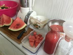 IMG_0438 (수박밭에서 이삭줍기)
