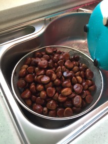 IMG_0501 (뒷산 밤줍기(영광 북종산))