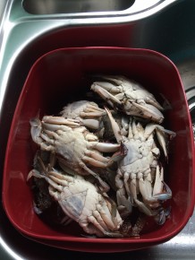 IMG_0519 (앙념게장)
