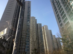 IMG_20160123_111953 (한국 방문)