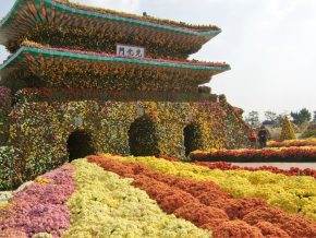 img_0783 (함평 국향대전)