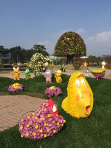 img_0792 (함평 국향대전)