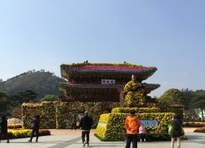 img_0797 (함평 국향대전)