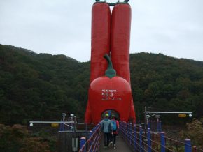 ndf2016-2 (충청기행)