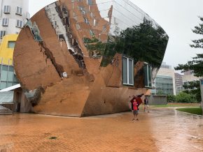 IMG_1526-1 (College Tour)